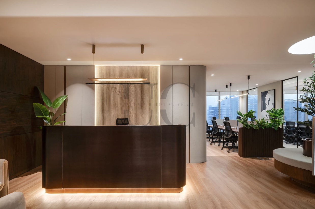 DesignFlo office interior with a curved reception desk, warm timber and planting